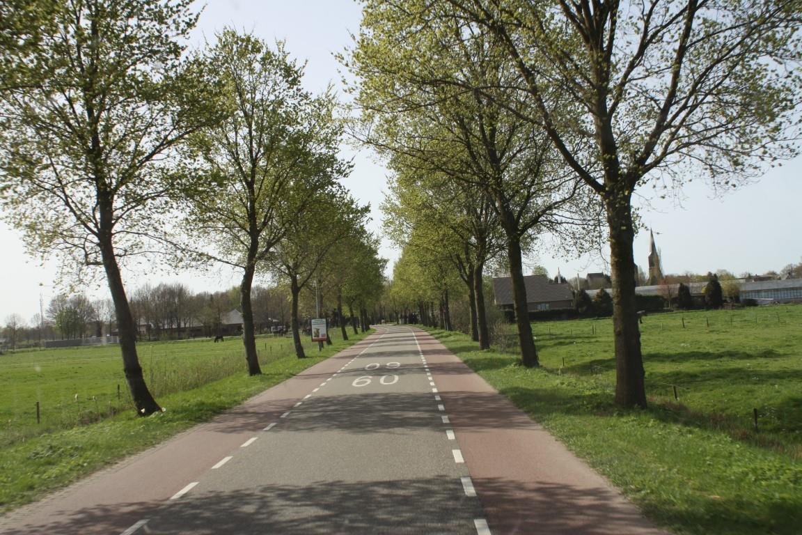 Mol75 april 2011 16 