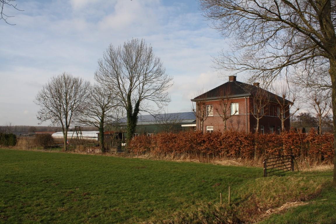 Mol77 20190212 53