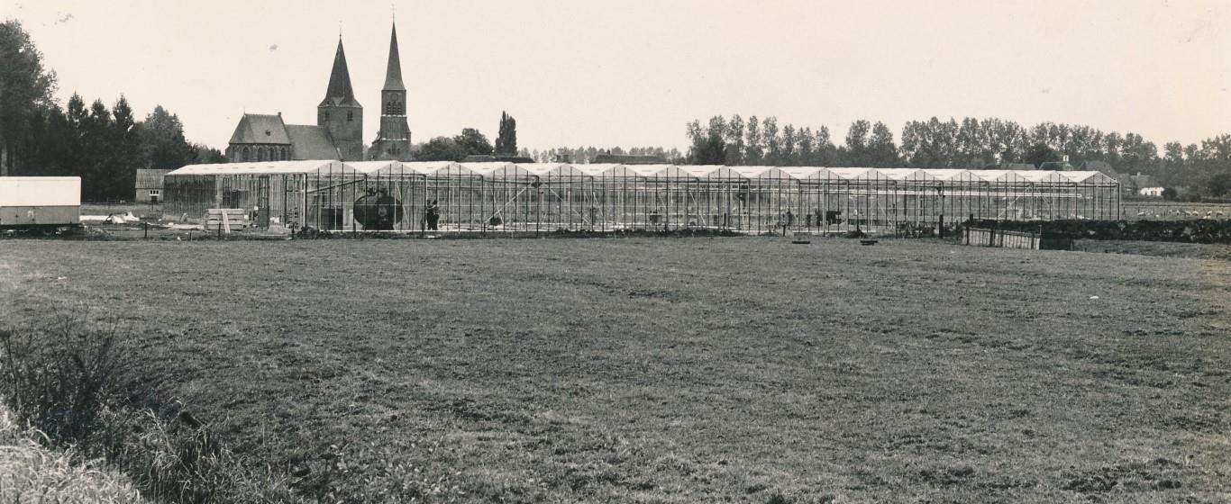 Mol85 kassen van Kempen