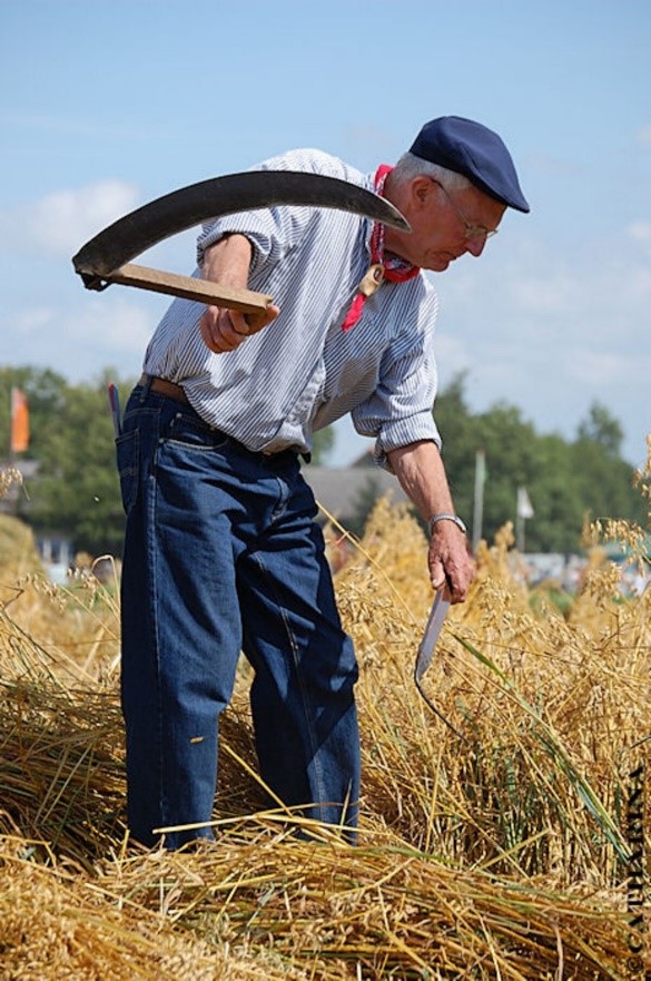 Boer met zeis