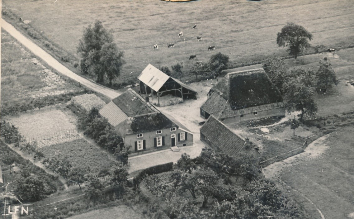 De Roeijen Dorpsbeeld