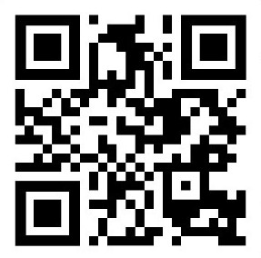 QR dorpsenquete