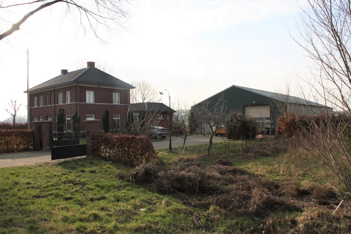 Mol77 20190212 52 
