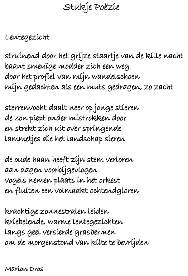 Stukje Poezie