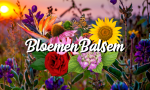 BloemenBalsem - vrijdag 22 augustus 2025